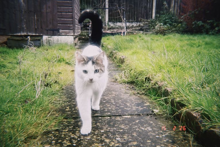 Artwork from project Studio and Life